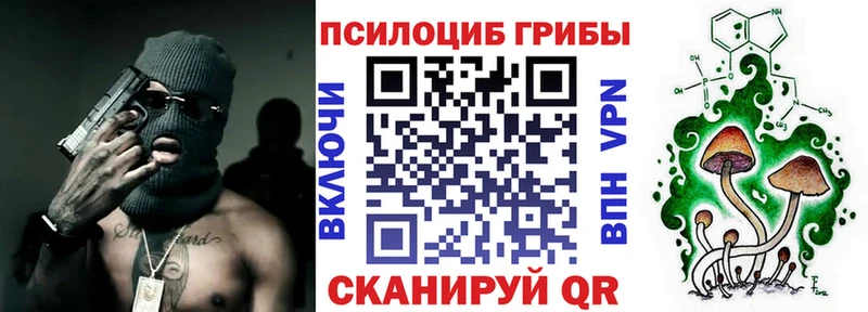 Псилоцибиновые грибы мухоморы  Высоцк 